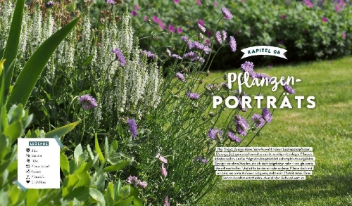 Buchcover und Innenansicht für das Buch: Keine Zeit zu Gärtnern - Blumenparadies mit wenig Aufwand