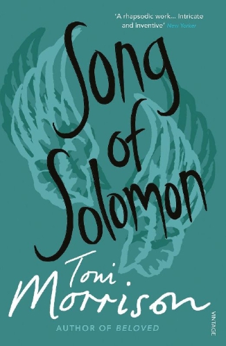 Buchcover und Innenansicht für das Buch: Solomons Lied