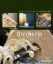Buchcover und Innenansicht für das Buch: Drechseln