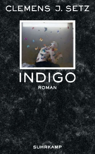 Buchcover und Innenansicht für das Buch: Indigo