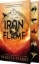 Buchcover und Innenansicht für das Buch: Iron Flame (Wing and Claw Collection)