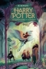 Buchcover und Innenansicht für das Buch: Harry Potter and the Prisoner of Azkaban