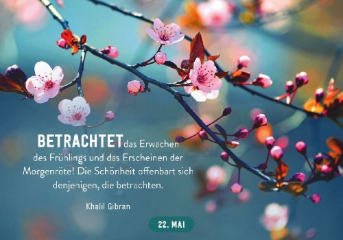 Buchcover und Innenansicht für das Buch: 365 gute Wünsche