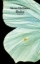 Buchcover und Innenansicht für das Buch: Blinding: The Left Wing