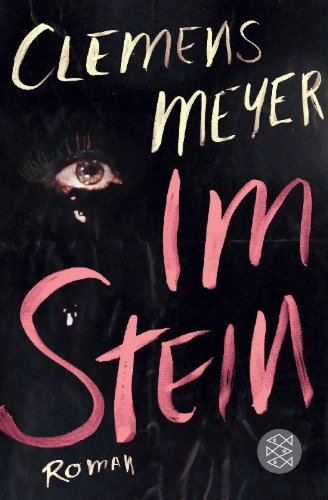 Buchcover und Innenansicht für das Buch: Im Stein