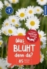 Buchcover und Innenansicht für das Buch: Was blüht denn da? Kindernaturführer