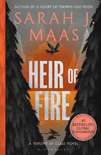 Buchcover und Innenansicht für das Buch: Heir of Fire