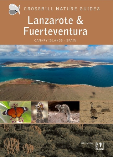 Buchcover und Innenansicht für das Buch: Lanzarote and Fuerteventura