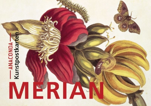 Buchcover und Innenansicht für das Buch: Postkarten-Set Maria Sibylla Merian