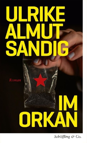 Buchcover und Innenansicht für das Buch: Im Orkan