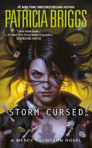 Buchcover und Innenansicht für das Buch: Storm Cursed