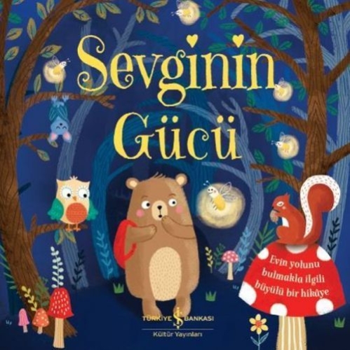 Buchcover und Innenansicht für das Buch: Sevginin Gücü