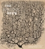 Buchcover und Innenansicht für das Buch: The Beautiful Brain