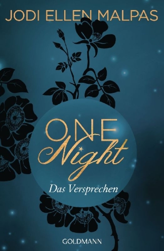 Buchcover und Innenansicht für das Buch: One Night: Unveiled (Book No. 3)
