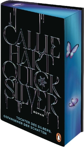 Buchcover und Innenansicht für das Buch: Quick Silver