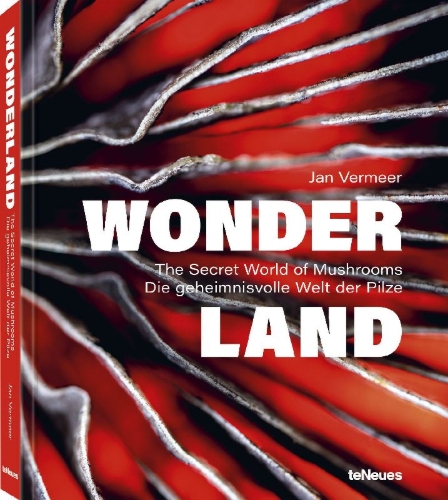 Buchcover und Innenansicht für das Buch: Wonderland