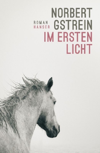 Buchcover und Innenansicht für das Buch: Im ersten Licht