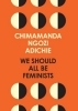Buchcover und Innenansicht für das Buch: We Should All Be Feminists