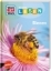 Buchcover und Innenansicht für das Buch: WAS IST WAS Erstes Lesen. Bienen