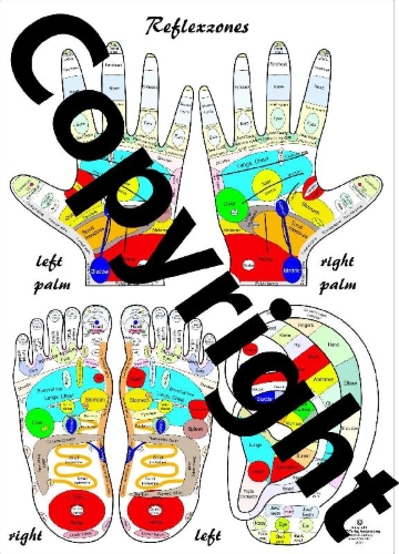 Buchcover und Innenansicht für das Buch: Reflexology Chart