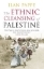 Buchcover und Innenansicht für das Buch: The Ethnic Cleansing of Palestine