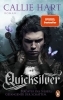 Buchcover und Innenansicht für das Buch: Quick Silver
