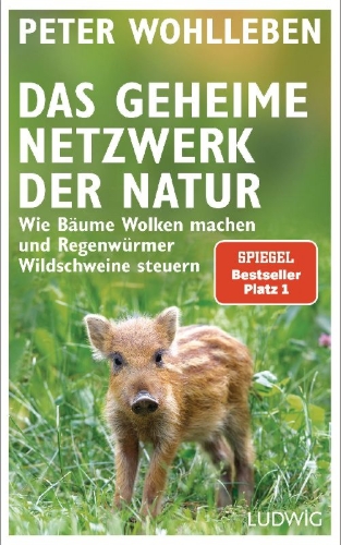 Buchcover und Innenansicht für das Buch: Das geheime Netzwerk der Natur