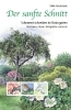 Buchcover und Innenansicht für das Buch: Der sanfte Schnitt