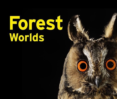 Buchcover und Innenansicht für das Buch: Forest Worlds