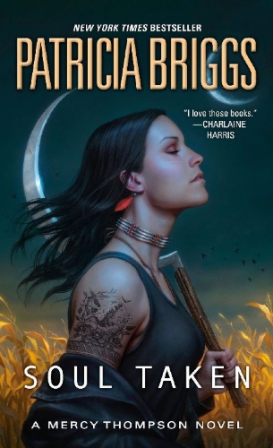 Buchcover und Innenansicht für das Buch: Soul Taken