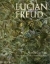 Buchcover und Innenansicht für das Buch: Lucian Freud