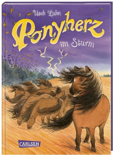 Buchcover und Innenansicht für das Buch: Ponyherz 14: Ponyherz im Sturm