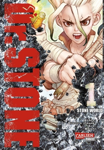 Buchcover und Innenansicht für das Buch: Dr. Stone