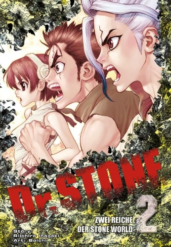 Buchcover und Innenansicht für das Buch: Dr. Stone