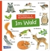 Buchcover und Innenansicht für das Buch: Mein kleines buntes Bildwörterbuch: Im Wald