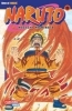 Buchcover und Innenansicht für das Buch: Naruto 26