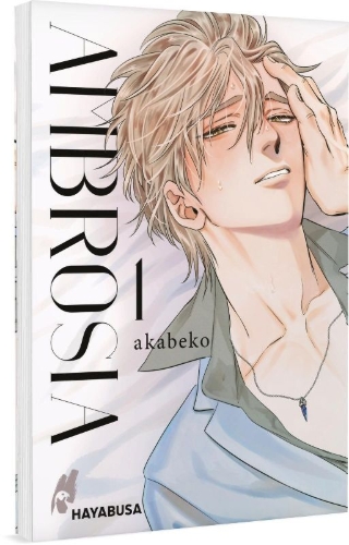 Buchcover und Innenansicht für das Buch: Mitsuka