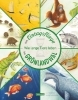 Buchcover und Innenansicht für das Buch: Our Time on Earth