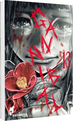 Buchcover und Innenansicht für das Buch: GANNIBARU