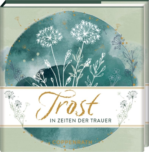 Buchcover und Innenansicht für das Buch: Trost