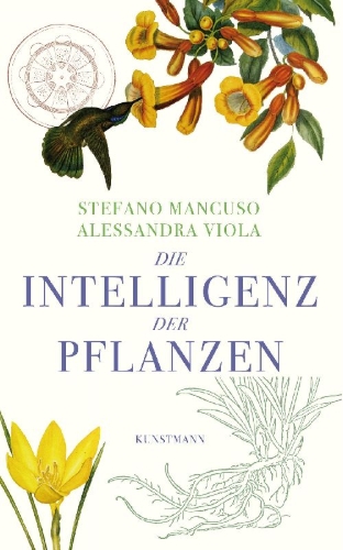 Buchcover und Innenansicht für das Buch: Verde Brillante