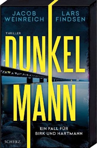 Buchcover und Innenansicht für das Buch: Skygger på silkevejen