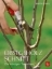 Buchcover und Innenansicht für das Buch: Obstgehölzschnitt