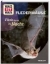 Buchcover und Innenansicht für das Buch: WAS IST WAS Fledermäuse. Flink durch die Nacht