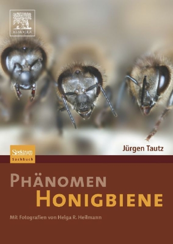 Buchcover und Innenansicht für das Buch: Phänomen Honigbiene
