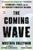 Buchcover und Innenansicht für das Buch: The Coming Wave