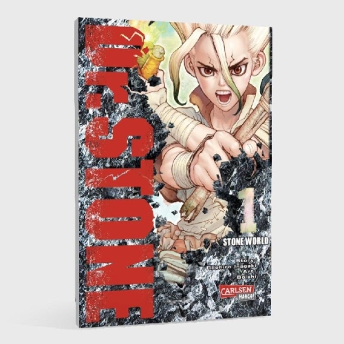 Buchcover und Innenansicht für das Buch: Dr. Stone