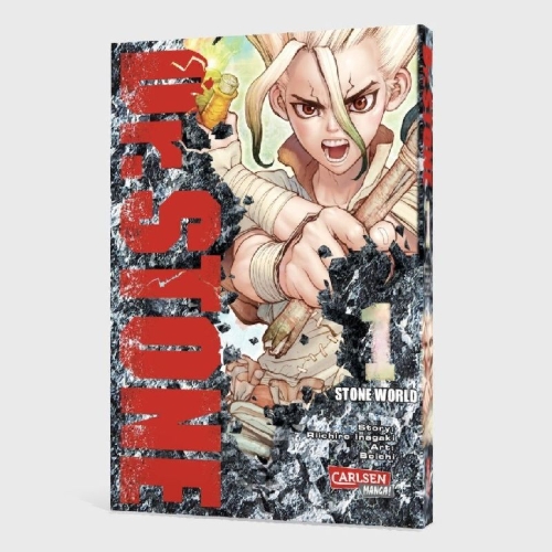 Buchcover und Innenansicht für das Buch: Dr. Stone