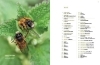 Buchcover und Innenansicht für das Buch: WILDBIENENHELFER