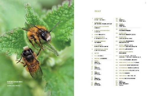 Buchcover und Innenansicht für das Buch: WILDBIENENHELFER